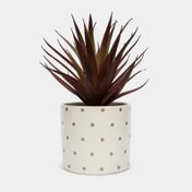 Planta artificial de 19 cm con maceta blanca y puntos dorados - espadas rojas
