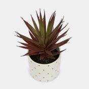 Planta artificial de 19 cm con maceta blanca y puntos dorados - espadas rojas