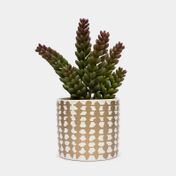 Planta artificial de 20 cm con maceta - suculenta sedum verde