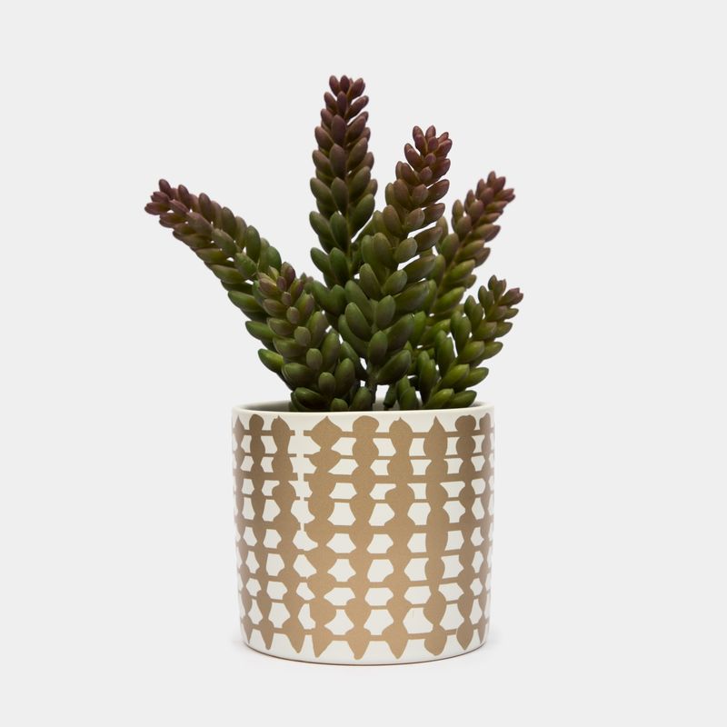 planta-artificial-de-20-cm-suculenta-sedum-verde-con-maceta-7701016225878