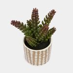 planta-artificial-de-20-cm-suculenta-sedum-verde-con-maceta-2-7701016225878