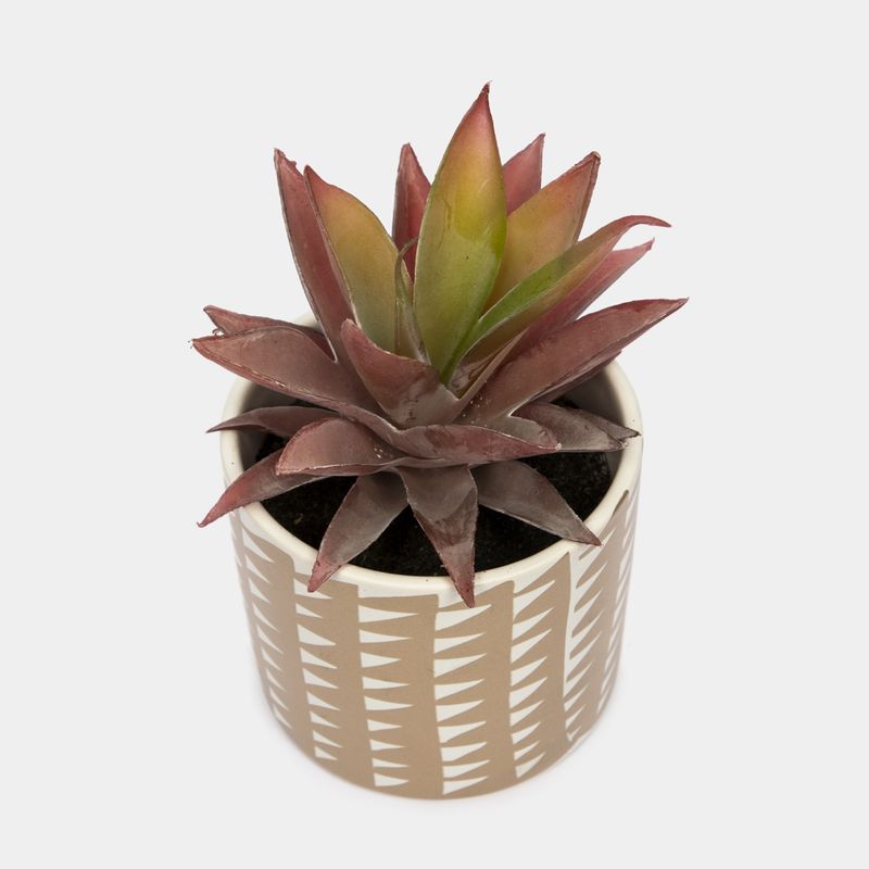 planta-artificial-de-16-cm-aloe-con-maceta-blanca-dorada-2-7701016225885
