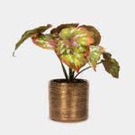 planta-artificial-de-21-cm-con-maceta-de-lineas-doradas-7701016225908