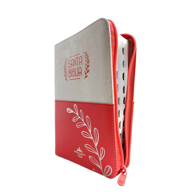 biblia-reina-valera-1960-rosado-plateado-3-9789587456530