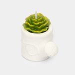 vela-suculenta-con-regadera-blanco-1-3300330093619