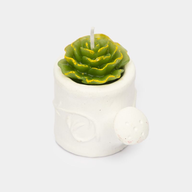 vela-suculenta-con-regadera-blanco-1-3300330093619