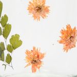 portavela-en-vidrio-diseno-flores-anaranjadas-color-transparente-3-7701016254823