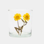 Portavela de vidrio transparente, diseño girasoles