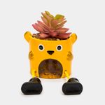 planta-artificial-suculenta-bicolor-con-maceta-7701016259057