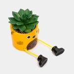 planta-artificial-suculenta-verde-con-maceta-2-7701016259064