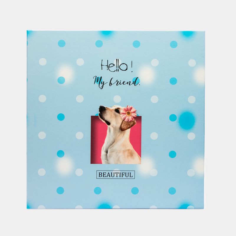 album-fotografico-de-20-hojas-hello-my-friend-7701016272773