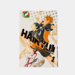 haikyu-vol-1-hinata-amd-kageyama-9781421587660