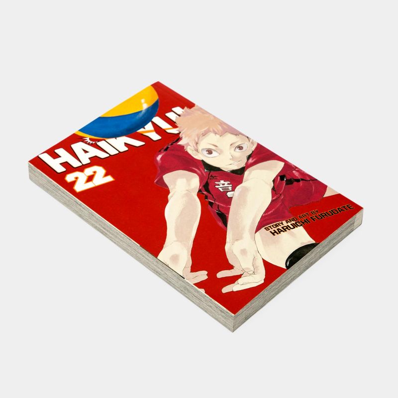 haikyu-vol-22-land-vs-air-3-9781421596099