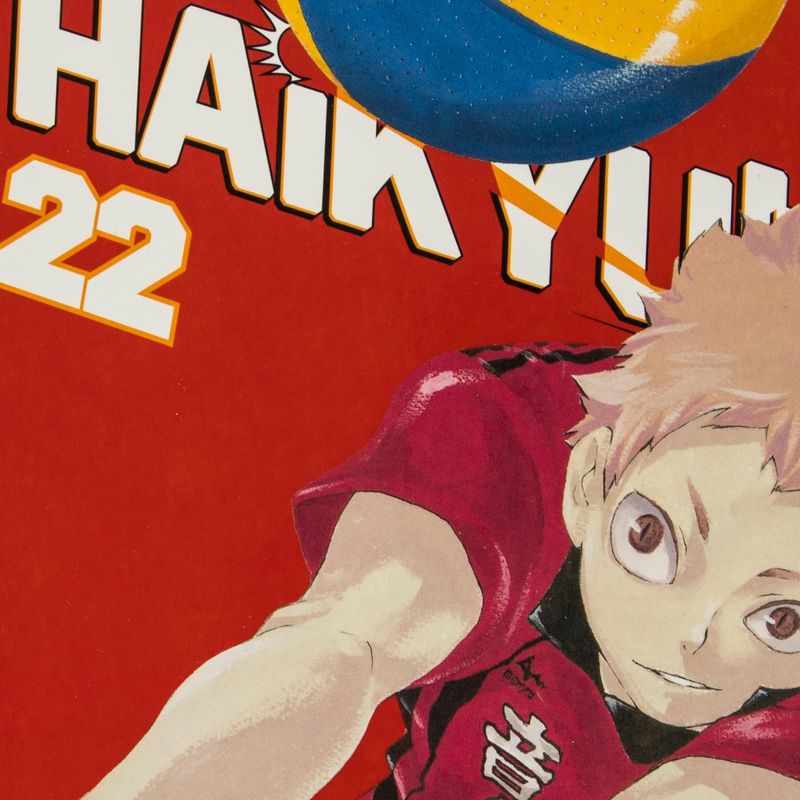 haikyu-vol-22-land-vs-air-4-9781421596099