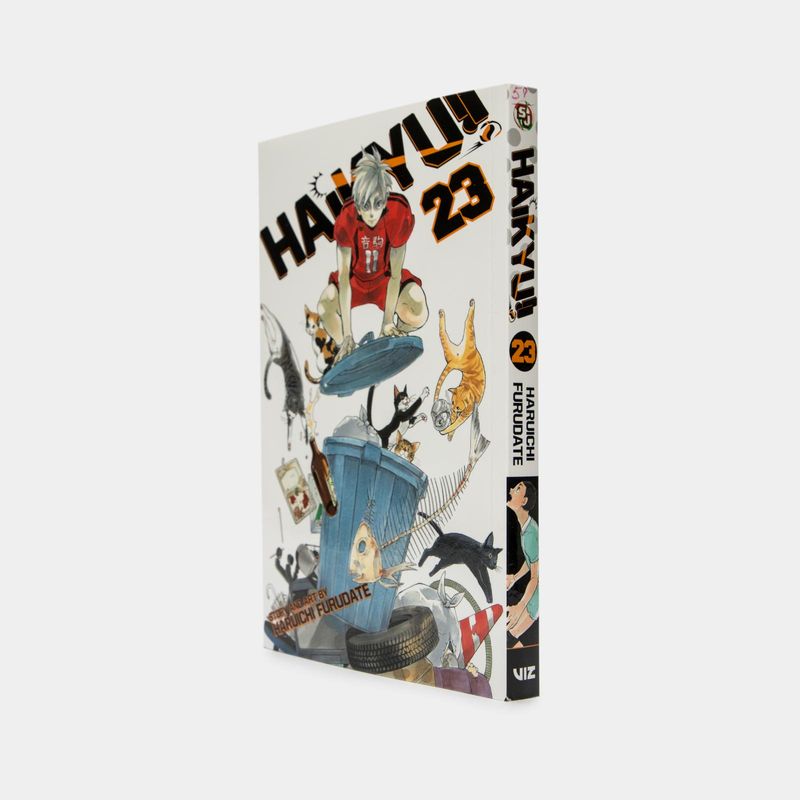 haikyu-vol-23-the-ball-s-path-2-9781421596105