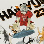 haikyu-vol-23-the-ball-s-path-4-9781421596105