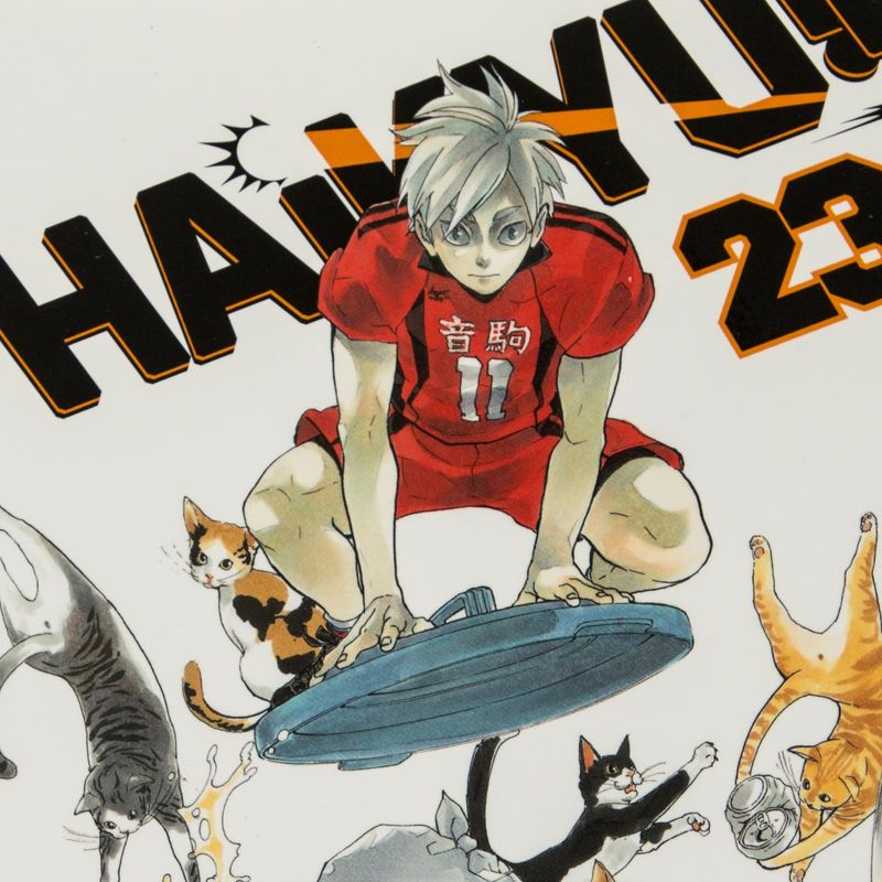 haikyu-vol-23-the-ball-s-path-4-9781421596105