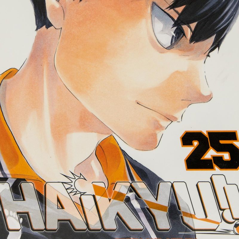 haikyu-vol-25-return-of-the-king-4-9781421598079