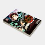 demon-slayer-vol-10-human-and-demon-3-9781974704552