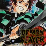 demon-slayer-vol-10-human-and-demon-4-9781974704552