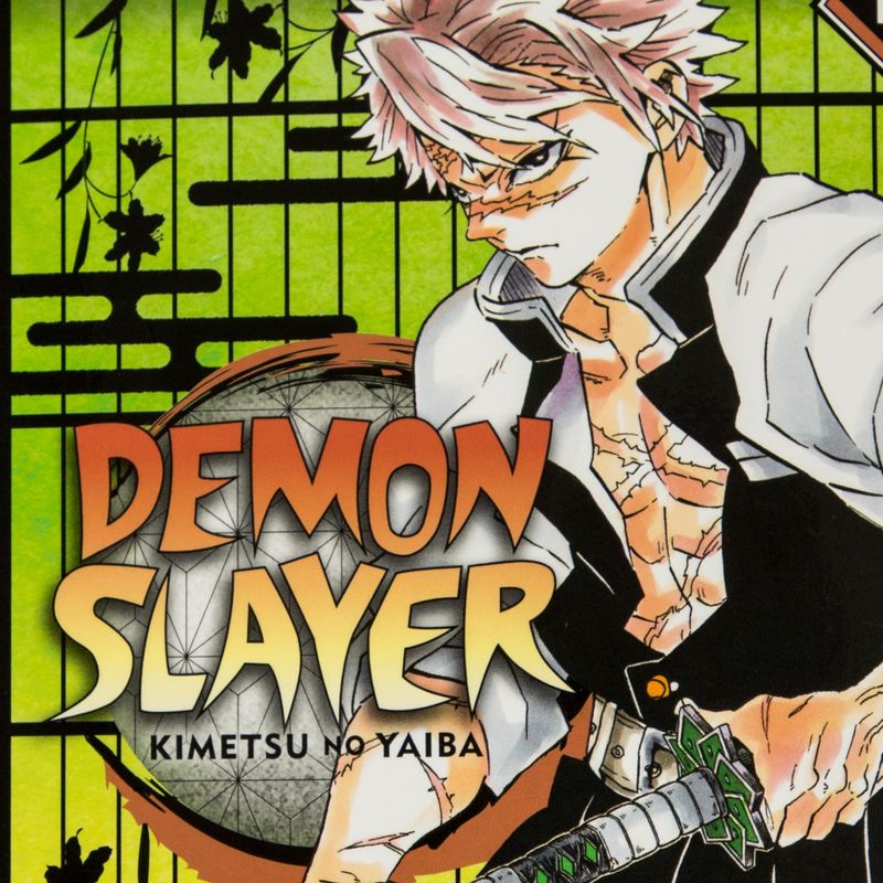 demon-slayer-vol-17-successors-4-9781974710614