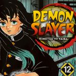 demon-slayer-vol-12-the-upper-rank-gather-4-9781974711123