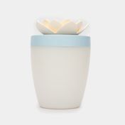 Humidificador USB, diseño suculenta azul