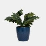 planta-artificial-con-maceta-azul-monstera-deliciosa-7701016234931