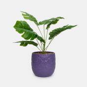 Planta artificial con maceta morada, monstera deliciosa