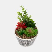 Planta artificial con maceta, suculentas