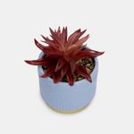 planta-artificial-con-maceta-morada-suculenta-2-7701016235020