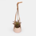 planta-artificial-con-maceta-rosada-y-correas-para-colgar-tillandsia-3-7701016305198