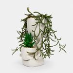 planta-artificial-con-maceta-blanca-suculentas-2-7701016305365