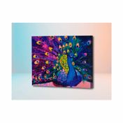 Kit de pintura diamante con cuadro de 40 x 50 cm - pavo real