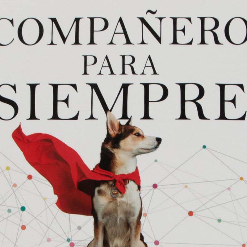 companero-para-siempre-4-9788484459729