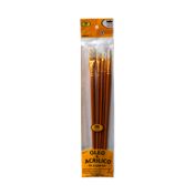 Set de pinceles mixto x 5 piezas