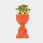 planta-artificial-con-cuerpo-anaranjado-suculenta-19-5-x-7-cm-7701016259071