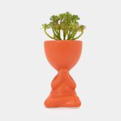 Planta artificial con cuerpo anaranjado suculenta  19,5 x 7 cm