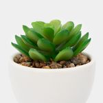 planta-artificial-con-cuerpo-blanco-suculenta-17-x-7-cm-3-7701016259088