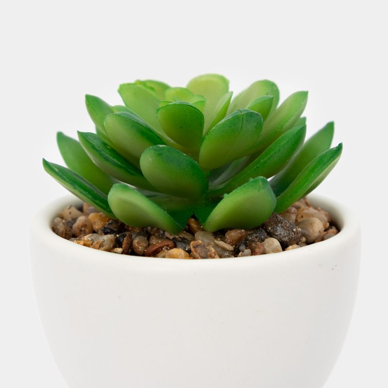 planta-artificial-con-cuerpo-blanco-suculenta-17-x-7-cm-3-7701016259088