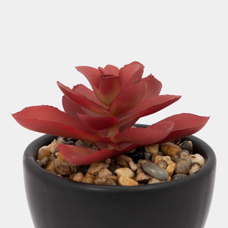 planta-artificial-con-cuerpo-negro-suculenta-17-x-7-2-cm-3-7701016259101