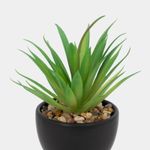 planta-artificial-con-cuerpo-negro-suculenta-21-5-x-7-9-cm-3-7701016259118