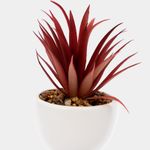 planta-artificial-con-cuerpo-blanco-suculenta-22-x-7-8-cm-3-7701016259125