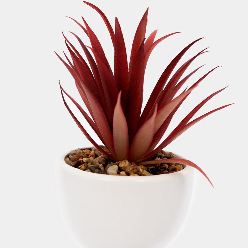 planta-artificial-con-cuerpo-blanco-suculenta-22-x-7-8-cm-3-7701016259125