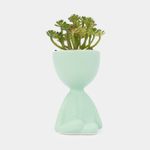 planta-artificial-con-cuerpo-verde-menta-suculenta-19-x-8-cm-7701016259132
