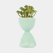 Planta artificial con cuerpo verde menta suculenta  19 x 8 cm