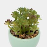 planta-artificial-con-cuerpo-verde-menta-suculenta-19-x-8-cm-3-7701016259132