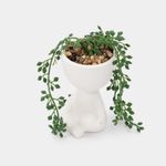 planta-artificial-con-cuerpo-blanco-suculenta-16-x-6-cm-2-7701016259156