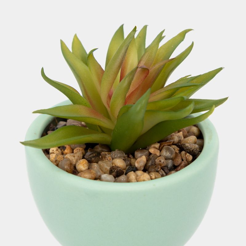 planta-artificial-con-cuerpo-verde-menta-suculenta-17-x-7-cm-3-7701016259163