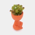 planta-artificial-con-cuerpo-anaranjado-suculenta-19-x-6-5-cm-2-7701016259255